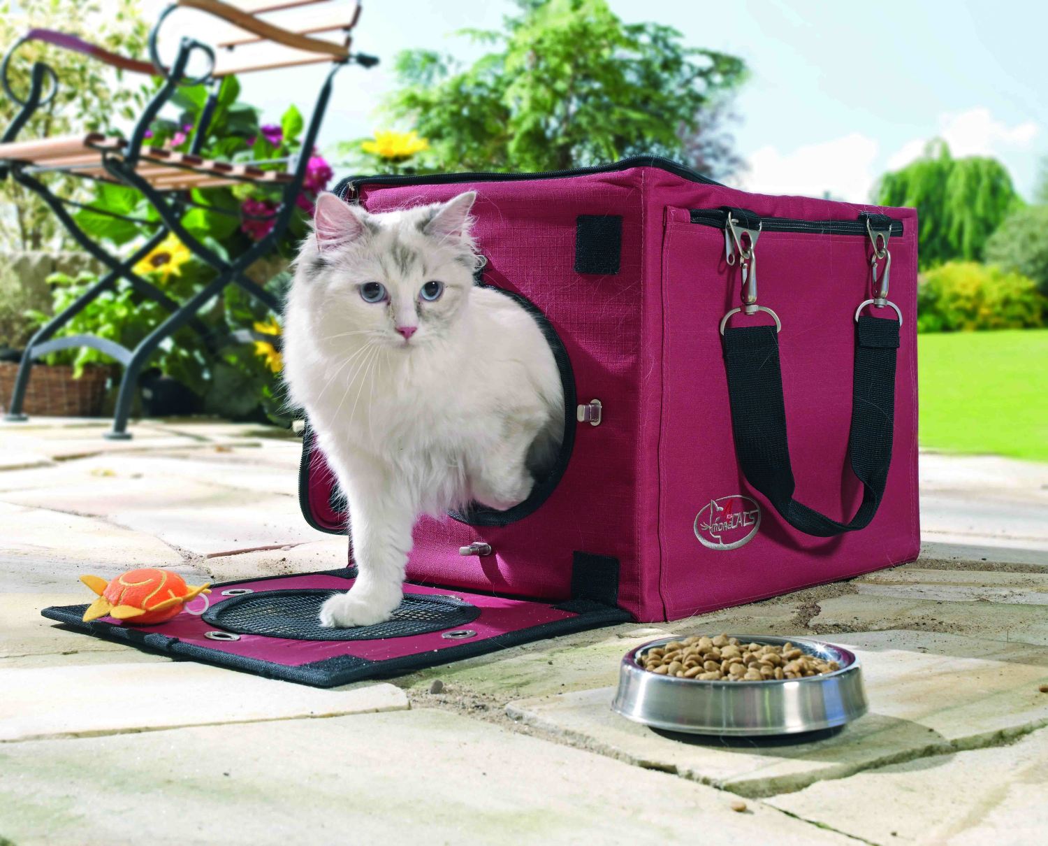 ¿Qué es un transportín para gatito?